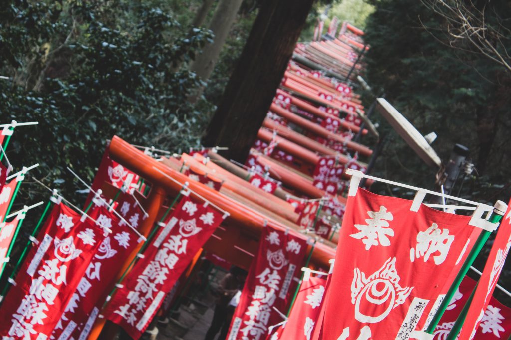 Sasuke Inari Shrine torii gates
