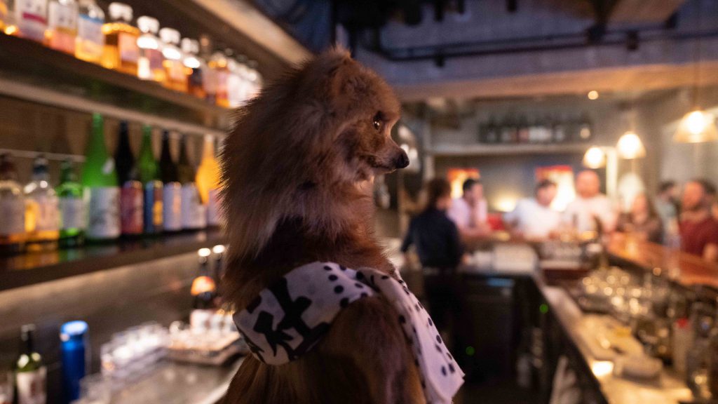 Tanuki Nozawa bar