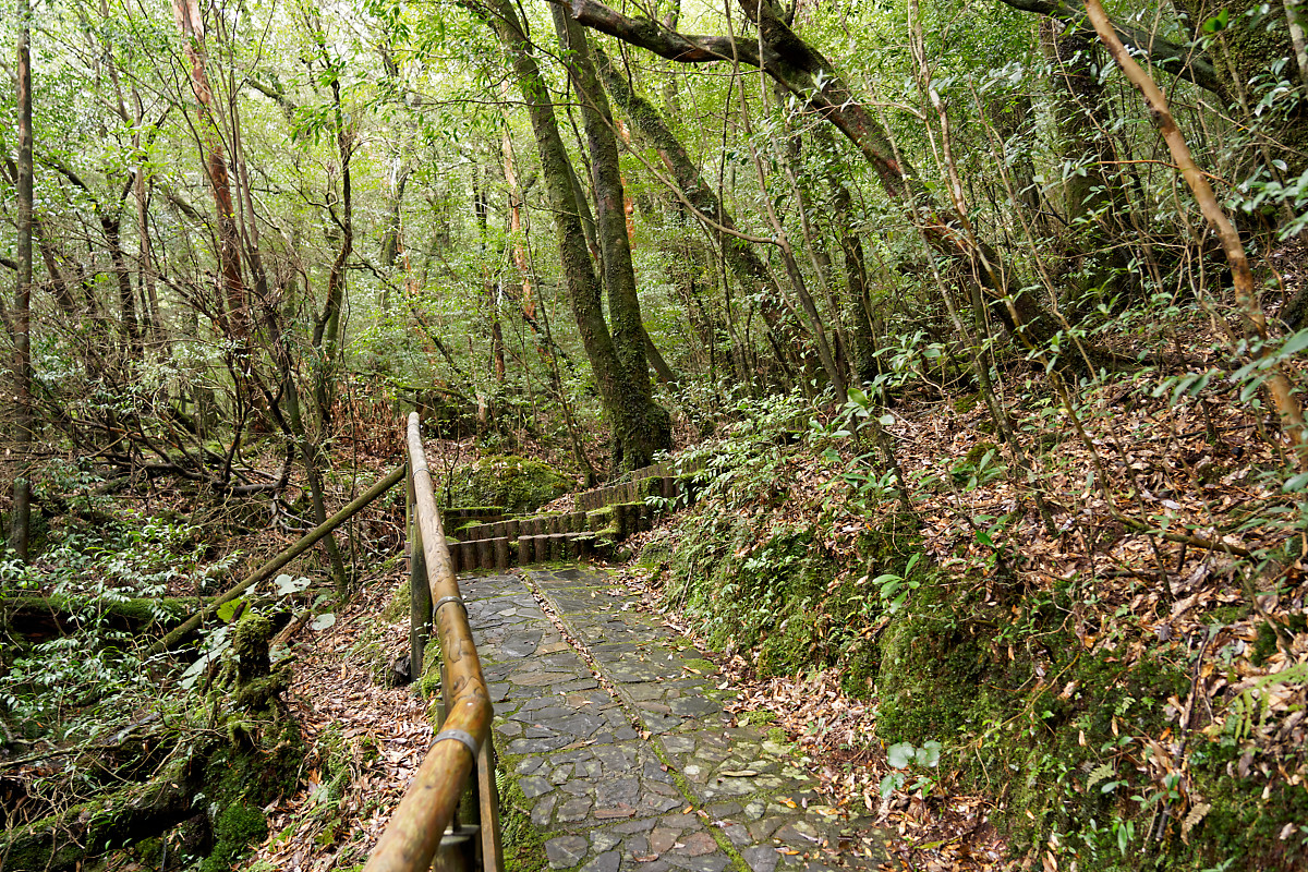 Shiratani Unsuikyo Ravine