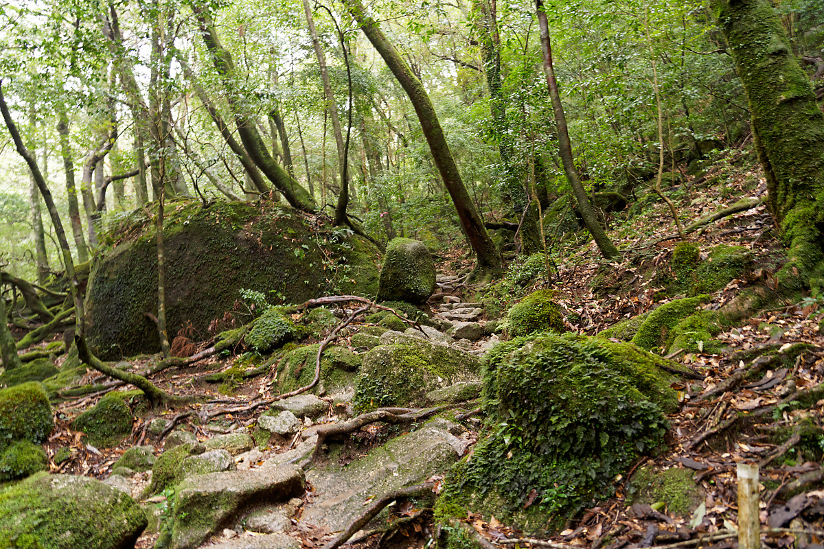 Shiratani Unsuikyo Ravine