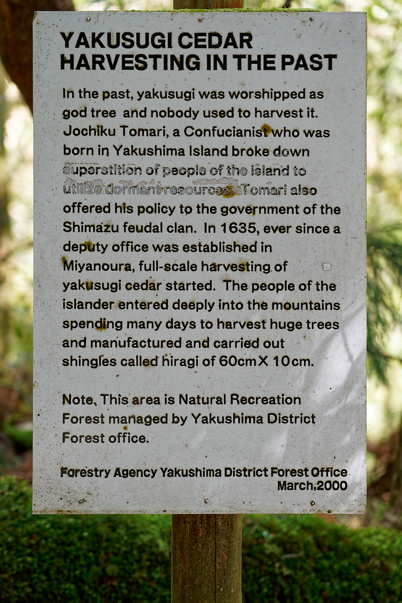 Cedar Harvest Information Sheet in Yakusugi Land