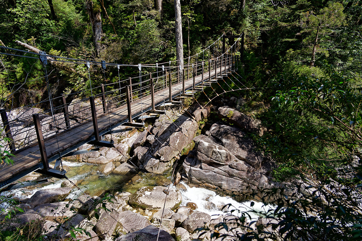 Bridge in Yakusugi Land