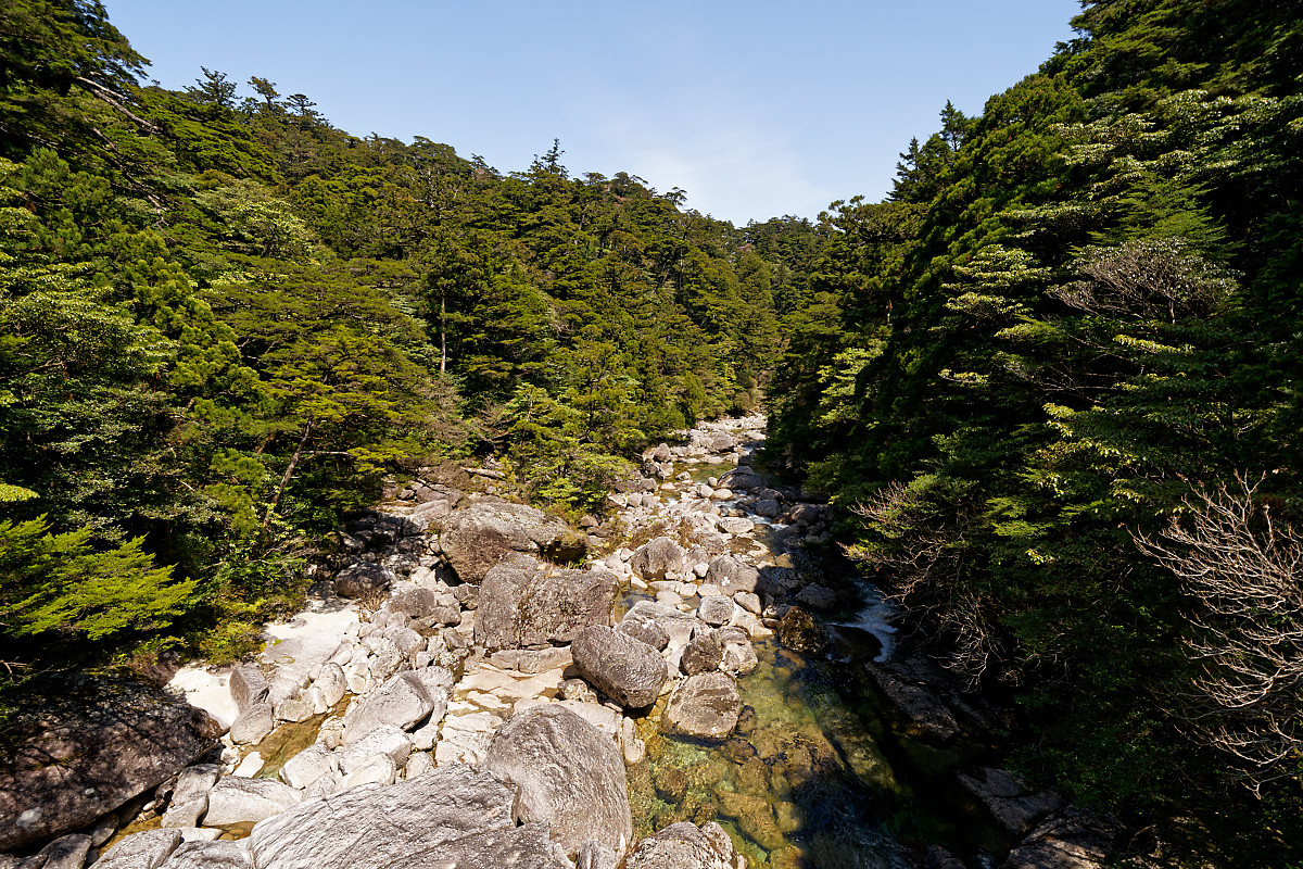 Yakusugi Land