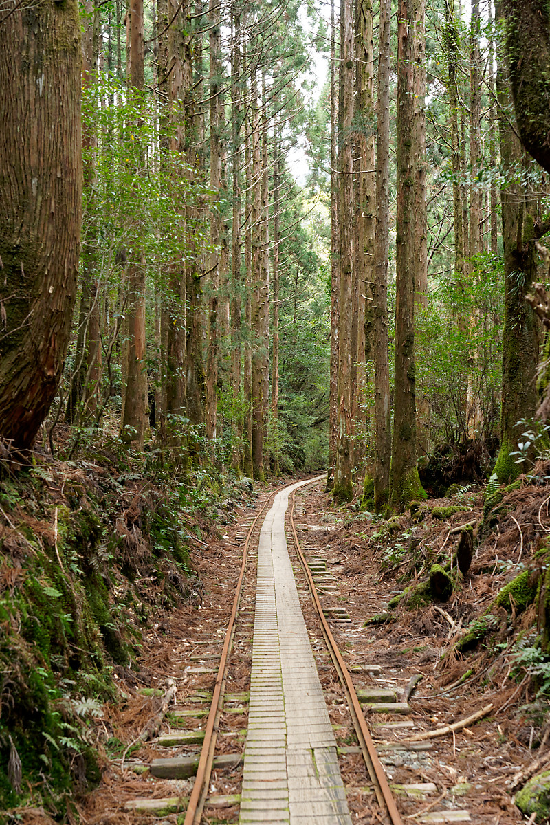 Returning to the rails on the Arakawa Hiking Trail (vertical)