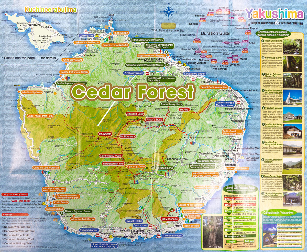 Cedar Forest Map